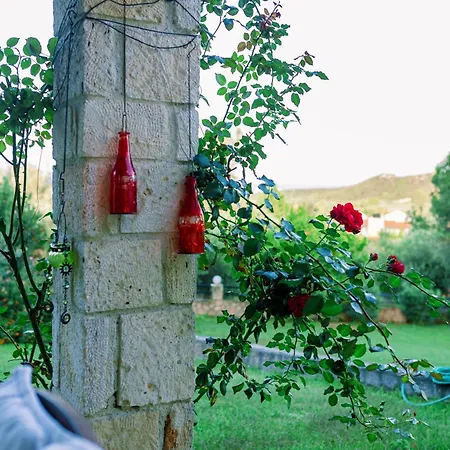 Nyaraló Olives