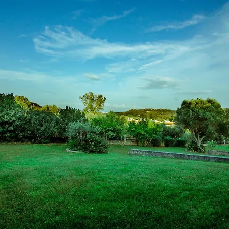 Olives Holiday home *