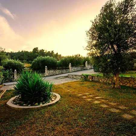 Дом отдыха Olives *